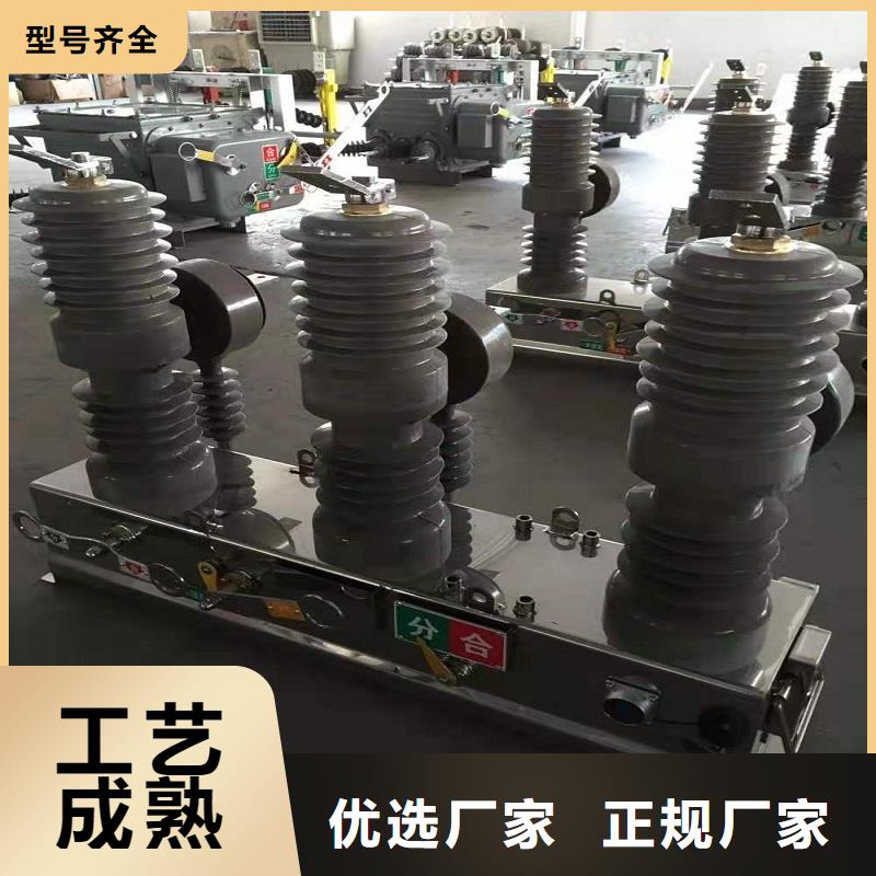 柱上断路器ZW32-12G/630-20