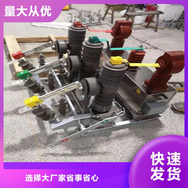 【断路器】ZW32-24G/1250-25