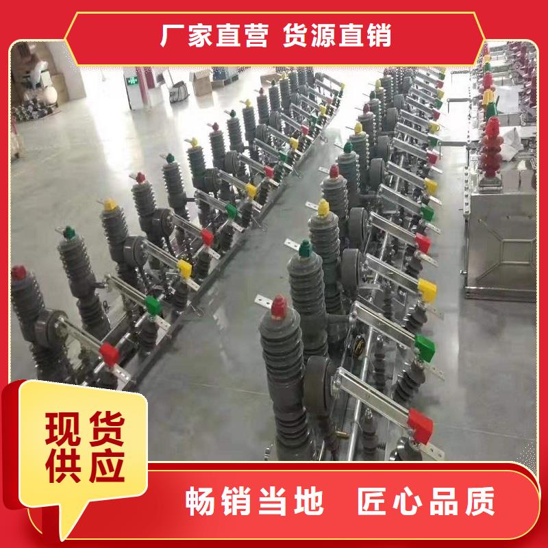 ZW32-12/630A户外高压柱上真空断路器手动智能型看门狗10KV