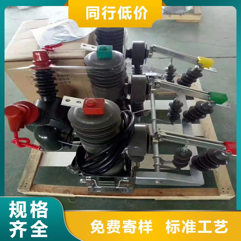 ZW32-12/630A户外高压柱上真空断路器手动智能型看门狗10KV
