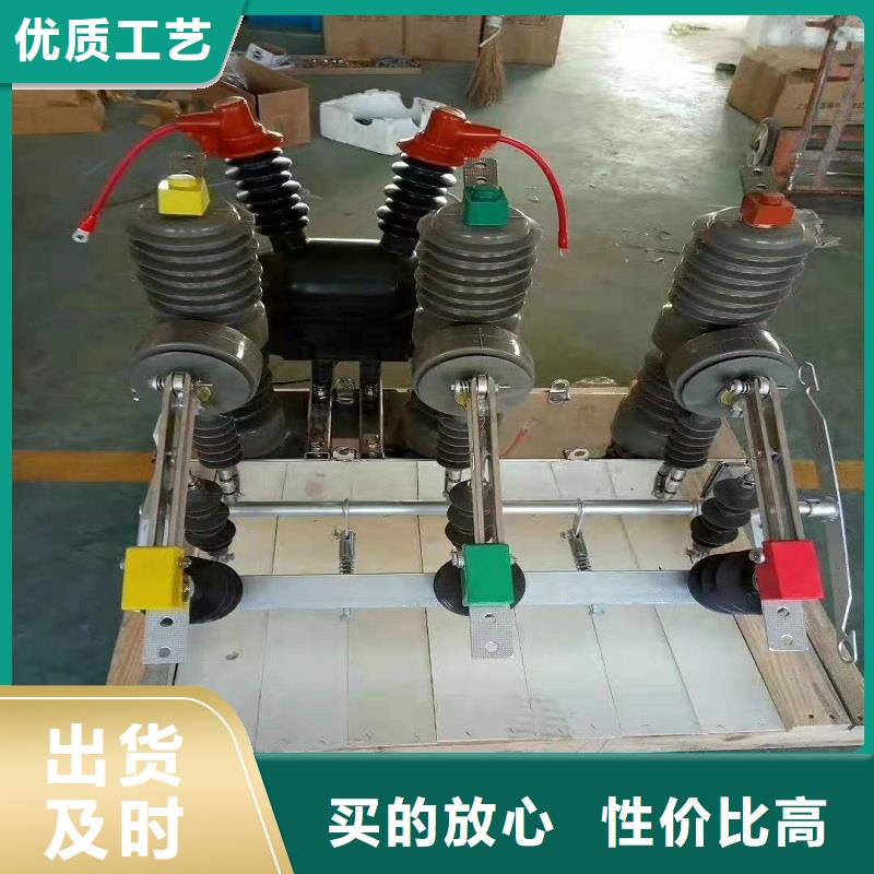 ZW32-12/630A户外高压柱上真空断路器手动智能型看门狗10KV