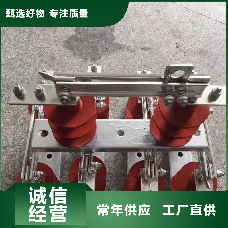 户外高压隔离开关HGW1-10KV/630