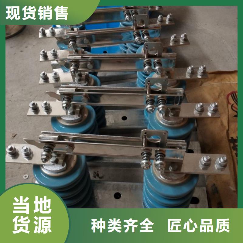 单极隔离开关HGW9-10KV/1250A单柱立开,不接地,操作型式:手动
