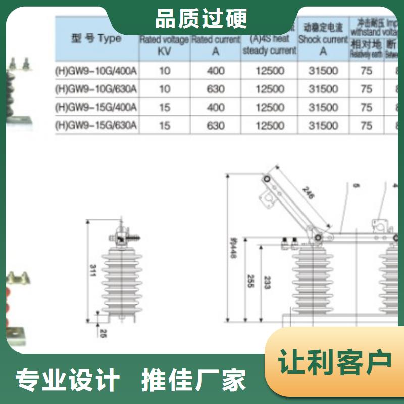 【隔离刀闸】HGW9-10KV/1000