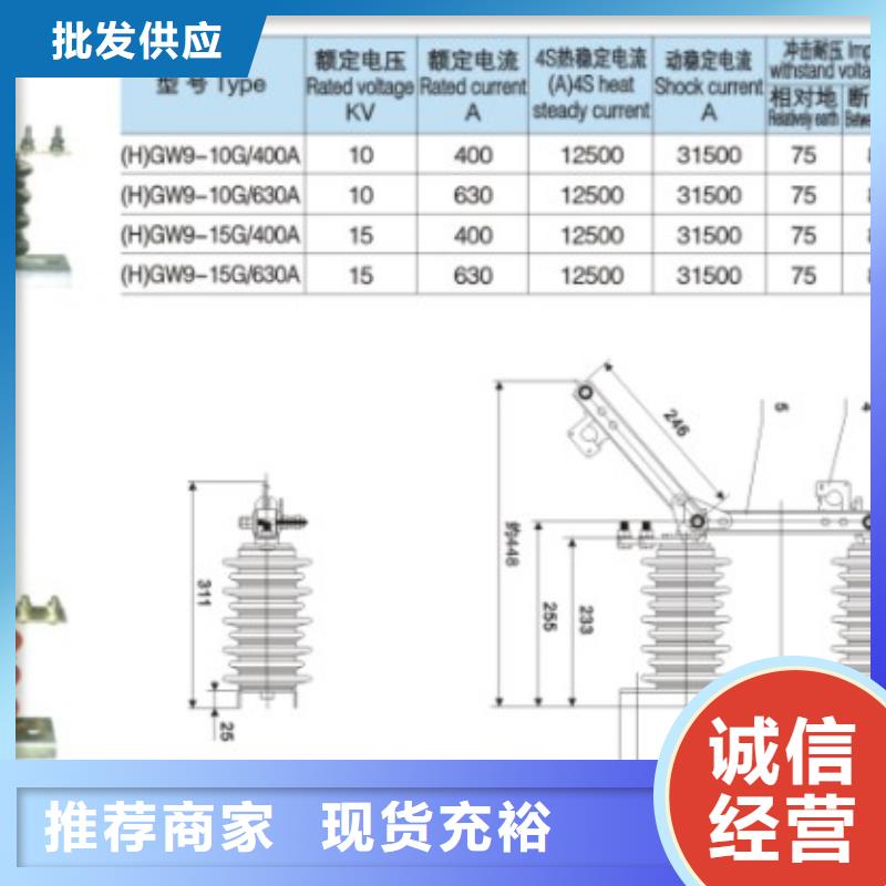 单极隔离开关HGW9-10KV/200A价格