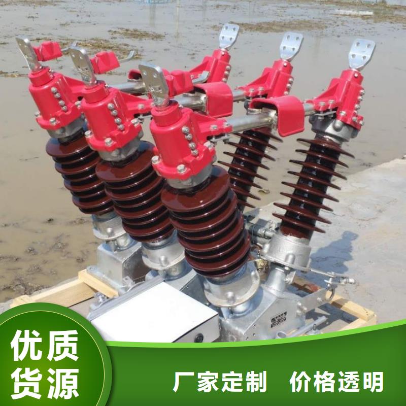 户外高压隔离开关HGW1-10KV/630A