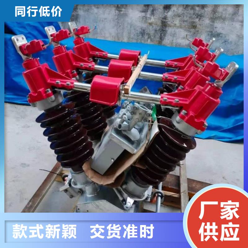 户外高压隔离开关HGW1-12KV/630A