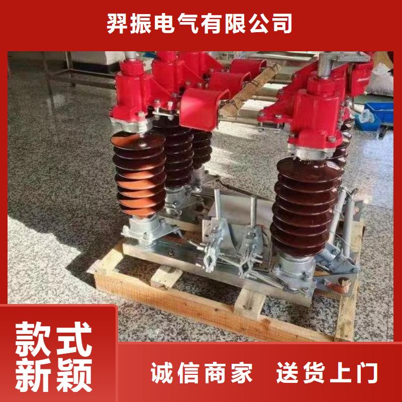 【羿振电气】户外高压隔离开关GW5-35D/630A?单接地手动