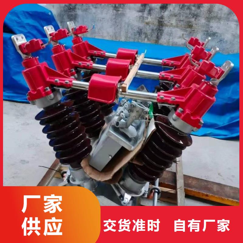 户外高压隔离开关HGW1-10KV/630A