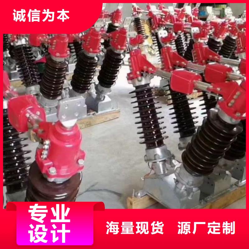 户外高压隔离开关HGW1-10KV/630A