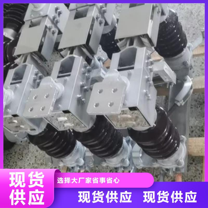 户外高压隔离开关HGW1-10KV/630A