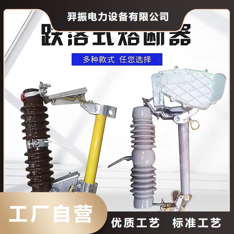 【跌落式熔断器】RW12-10F/100A