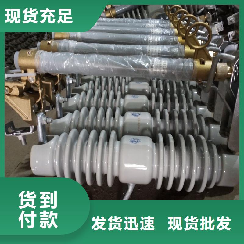 跌落开关【HPRWG1-12F/100】