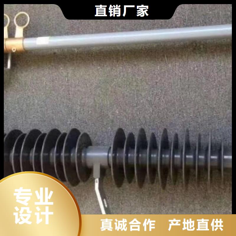 【高压熔断器】高压熔断器,AC10kV,100A,跌落式,复合材料