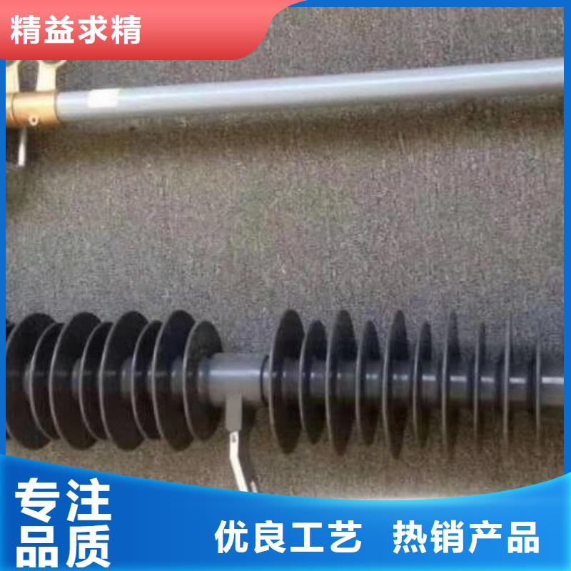 【跌落式开关】RW12-10/100A