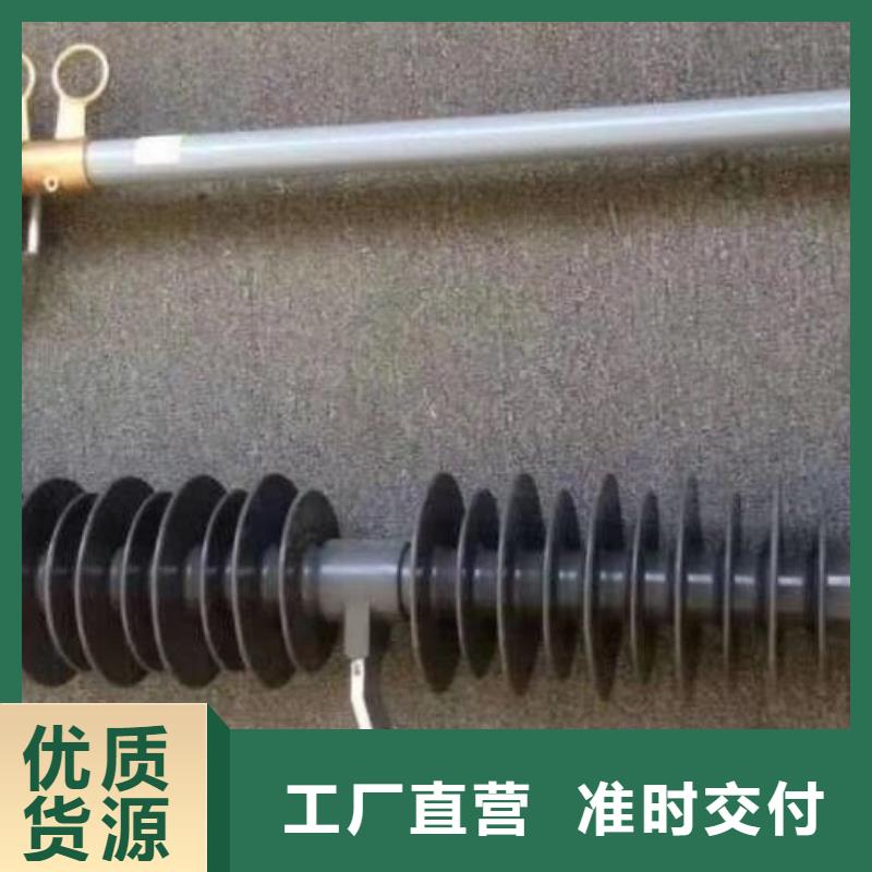 户外高压交流跌落式熔断器RW12-12KV/100A