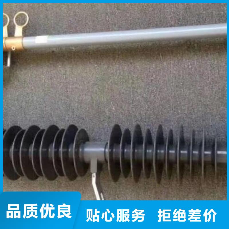高压熔断器/RW12-10F/100A生产厂家