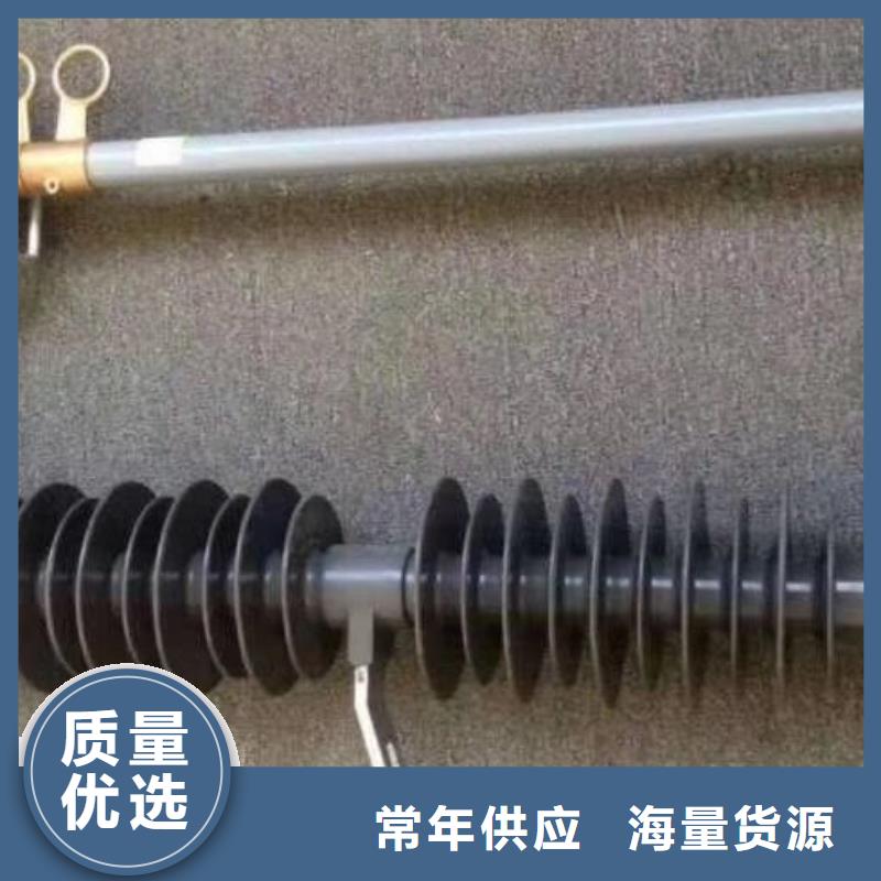 高压熔断器-RW12-15F/100A