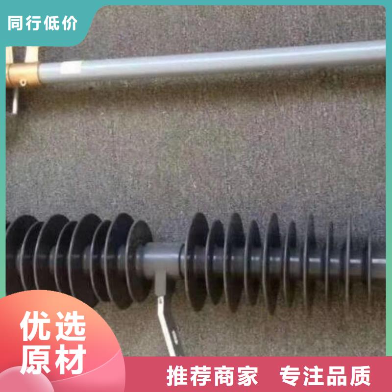 〖跌落式熔断器〗PRW12-10/200A