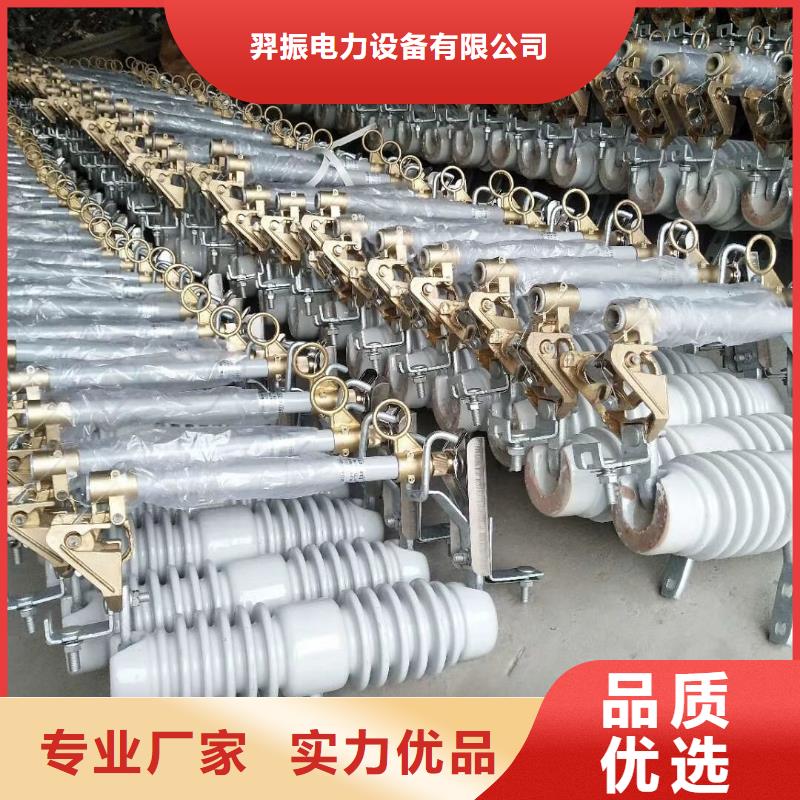 RW12型【跌落式熔断器】RW12-10F/100A