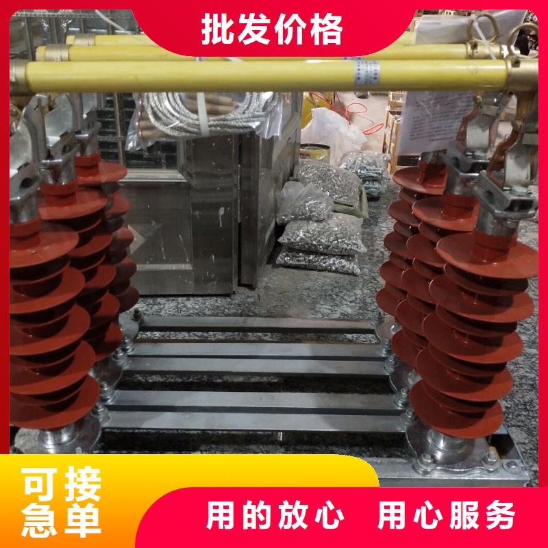 【跌落式熔断器】HRW12-15/100A