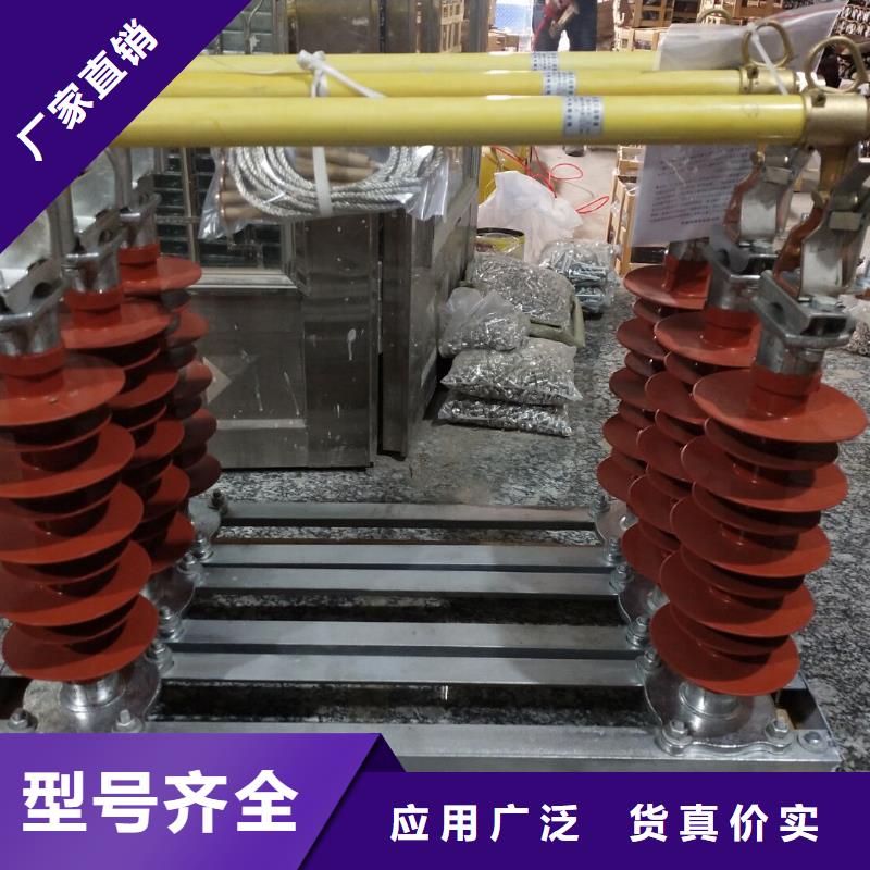 【羿振电力】跌落式熔断器RW7-100A