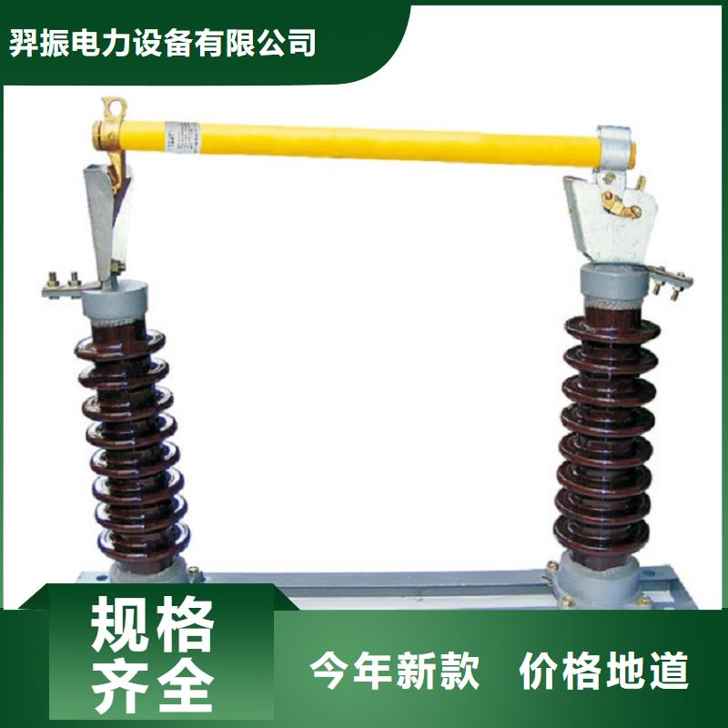 山东高压熔断器/RW10-12/100-6.3