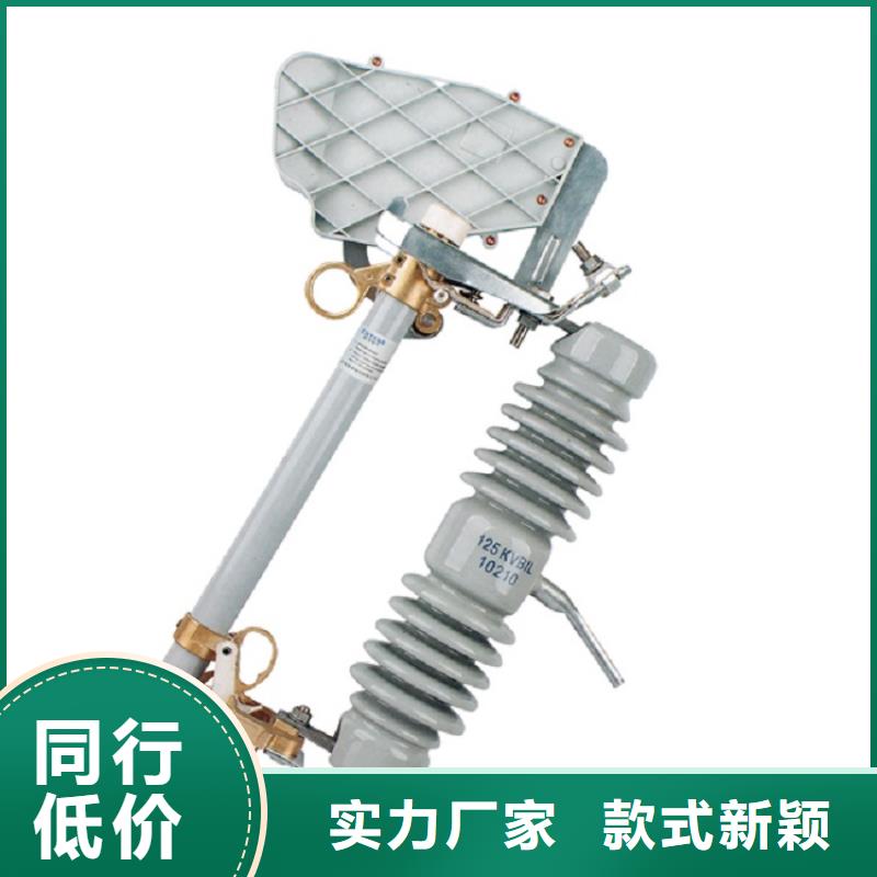户外高压交流跌落式熔断器RW12-12KV/100A