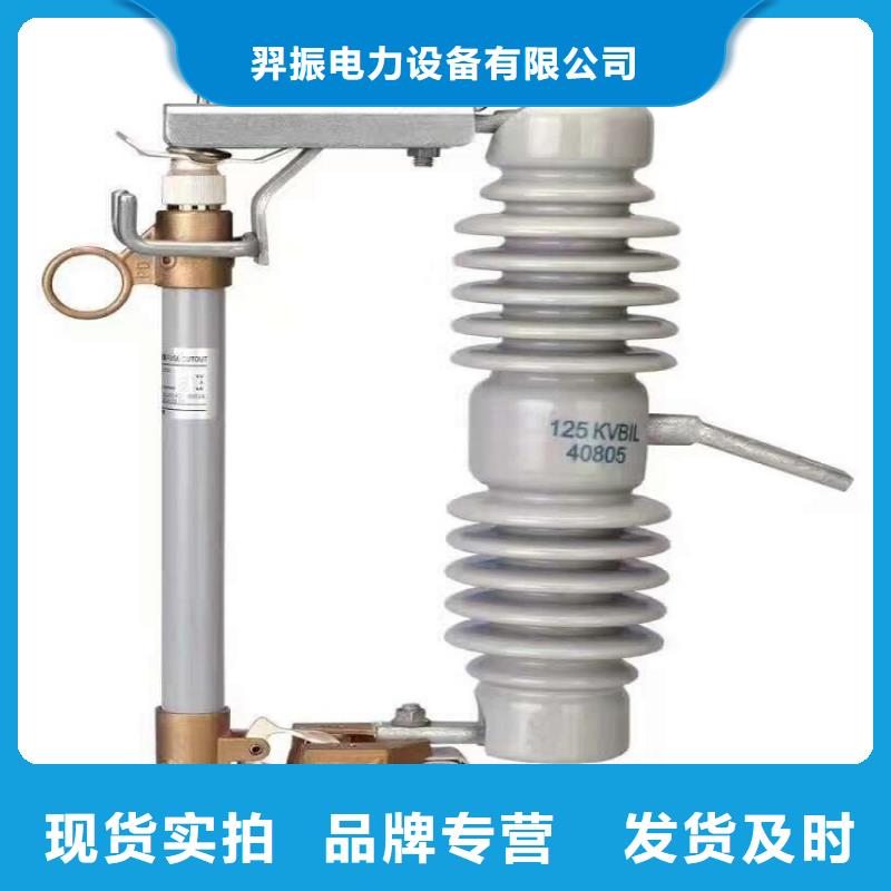 【高压熔断器】硅胶跌落保险HRW11-10/100A