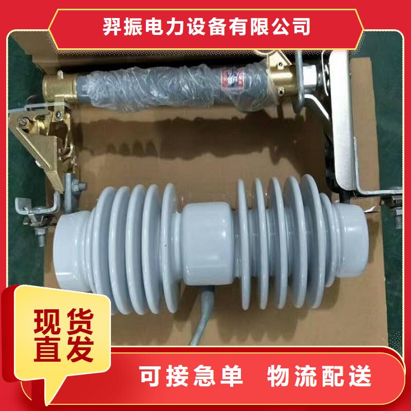山东高压熔断器/RW10-12/100-6.3