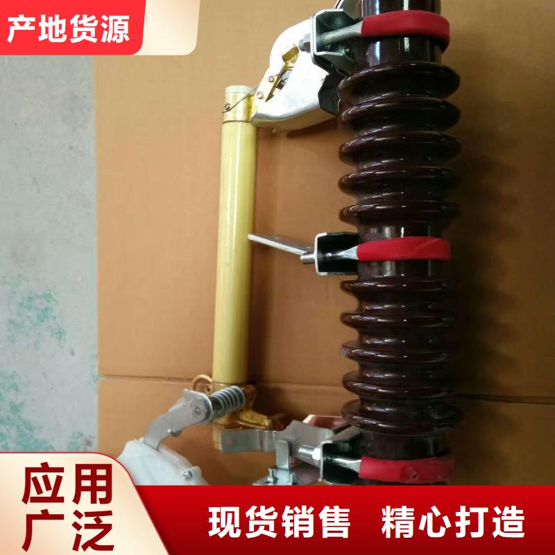 跌落开关【HPRWG1-12F/100】