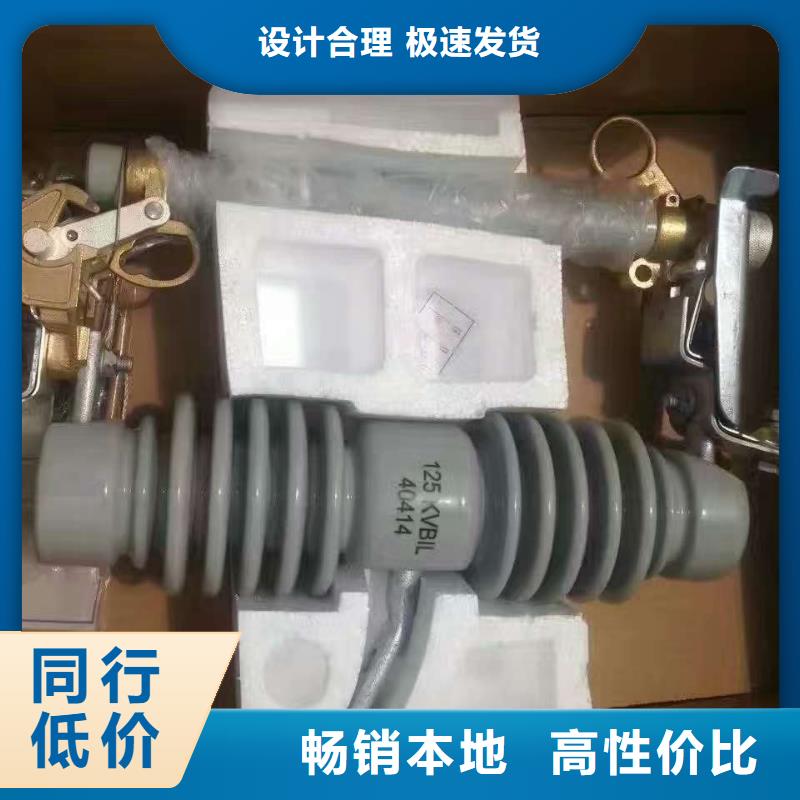 跌落式开关/RW12-24KV/100A