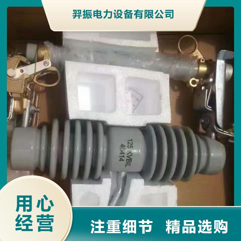 【跌落式熔断器】HPRW12-10KV/100A