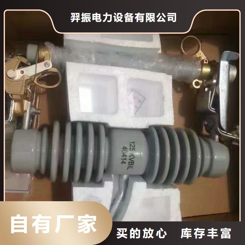 【跌落式熔断器】HRW12-15/100