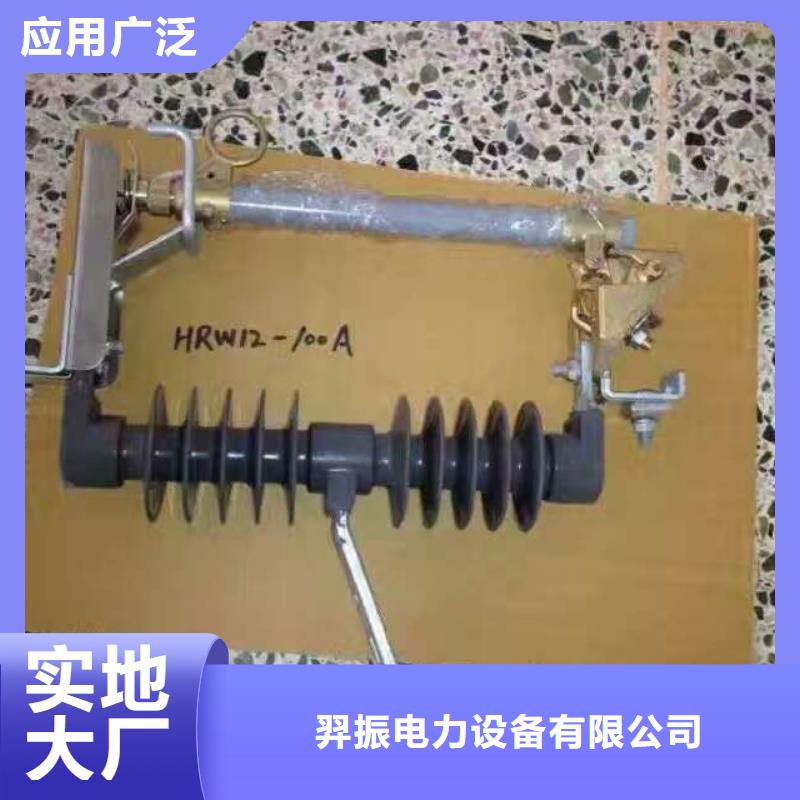 高压熔断器/PRW12-27KV/100A