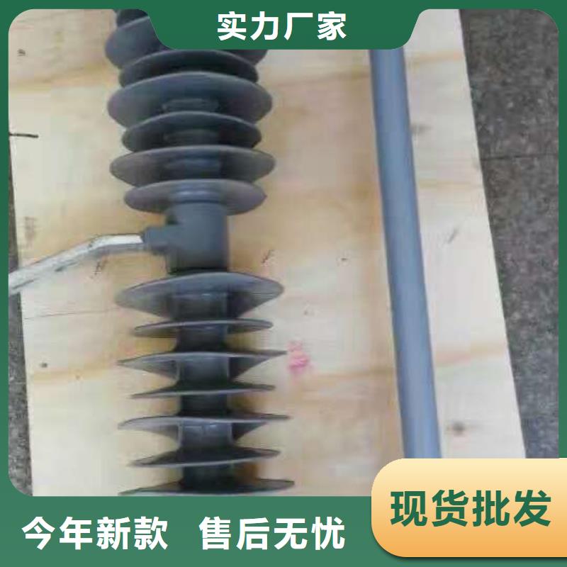 跌落式开关/RW12-24KV/100A
