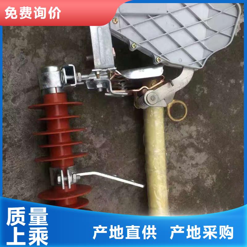 熔断器三相组合式避雷器高质量高信誉