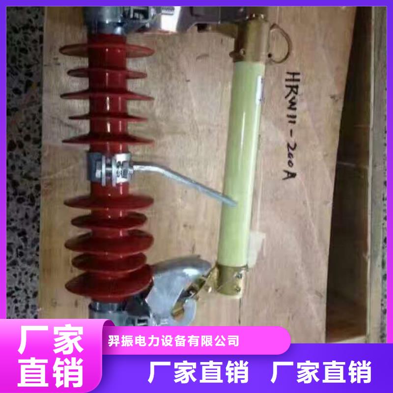 高压熔断器/RW12-12F/200A.