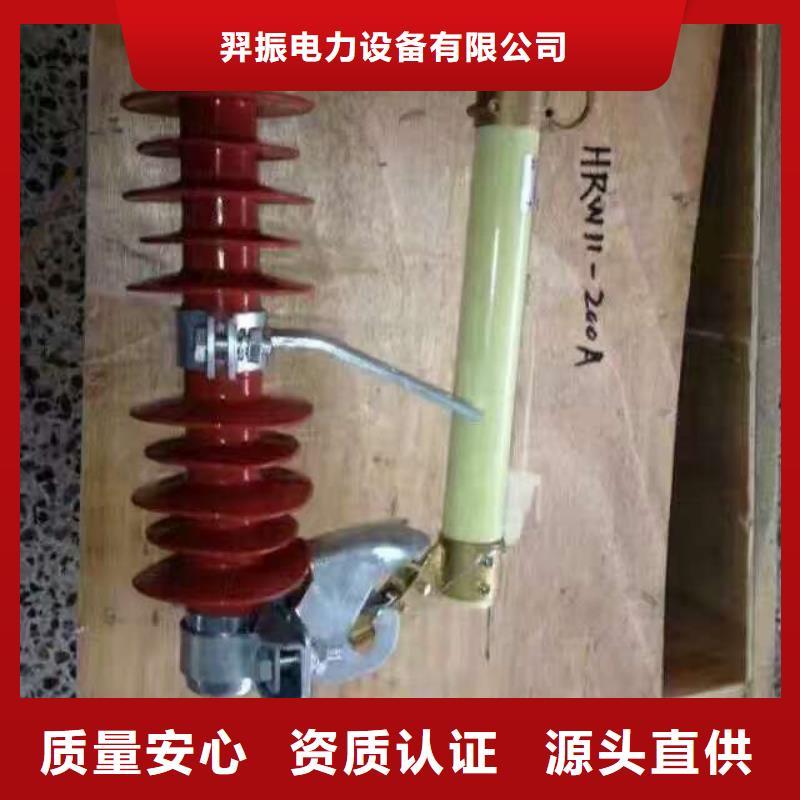 【跌落式熔断器】RW12-12/100生产厂家