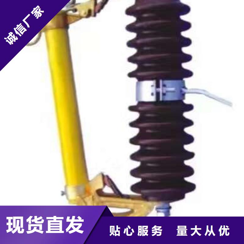 高压熔断器/HRW11-10F/100
