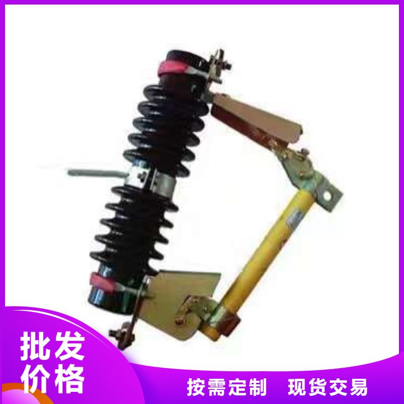 -跌落式熔断器RW10-12F(W)/100A/厂家直销
