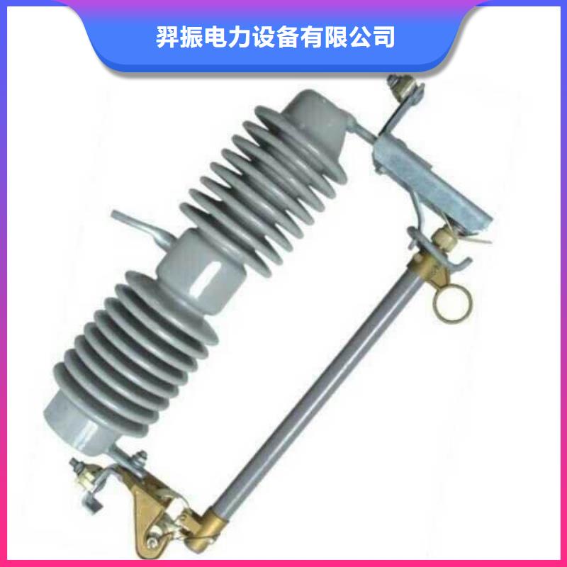 高压熔断器/RW12-10F/100A生产厂家
