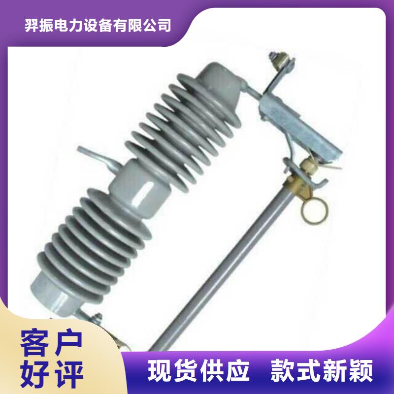 【跌落式熔断器】RW12-10/100A
