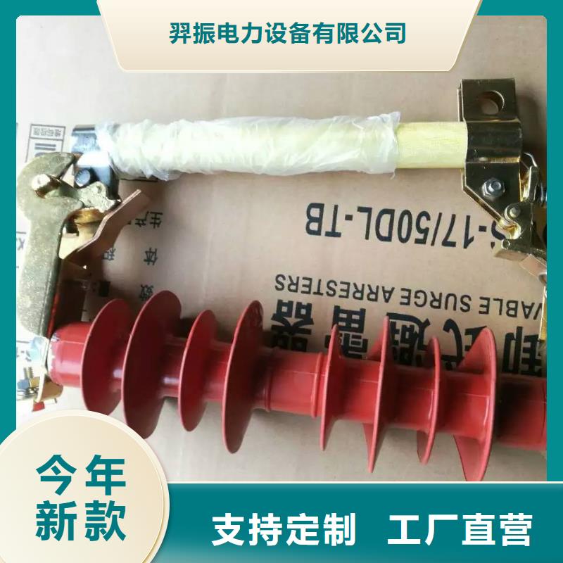 高压熔断器/PRW10-10/200A
