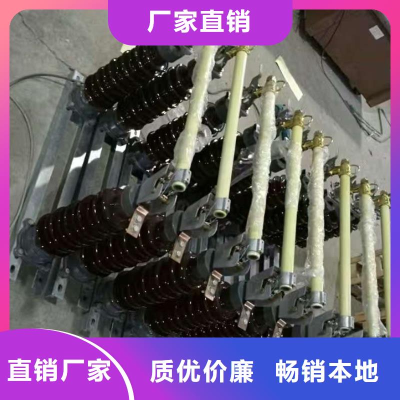 【熔断器】跌落式熔断器HPRW12-10KV/100A