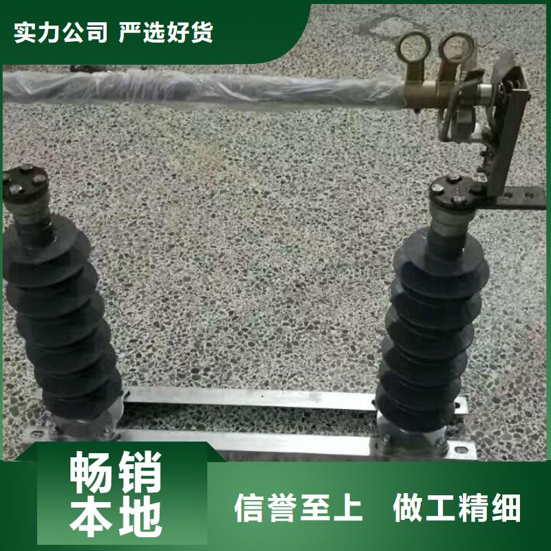 高压熔断器/HRW11-10F/100