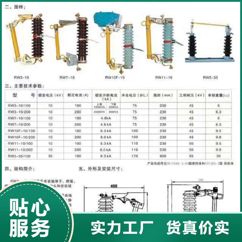高压熔断器-RW10-10KV/100-RW10-10KV/200