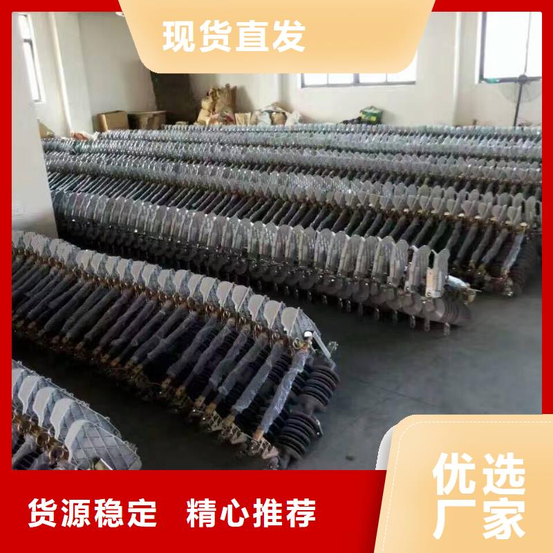 高压熔断器/RW12-12F/200A.