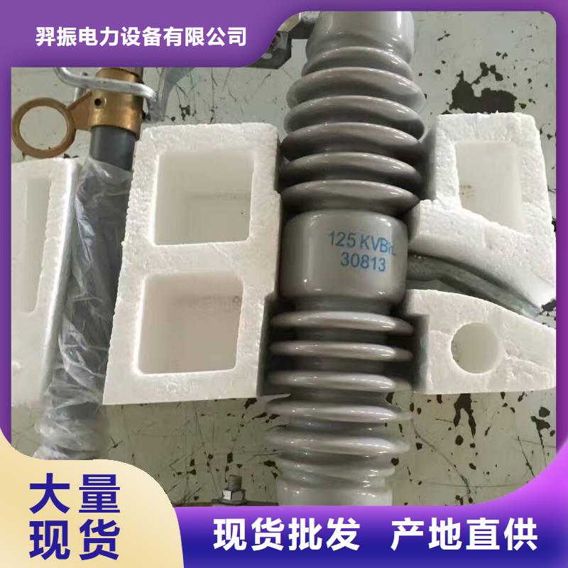 高压熔断器/HRW11-10F/100