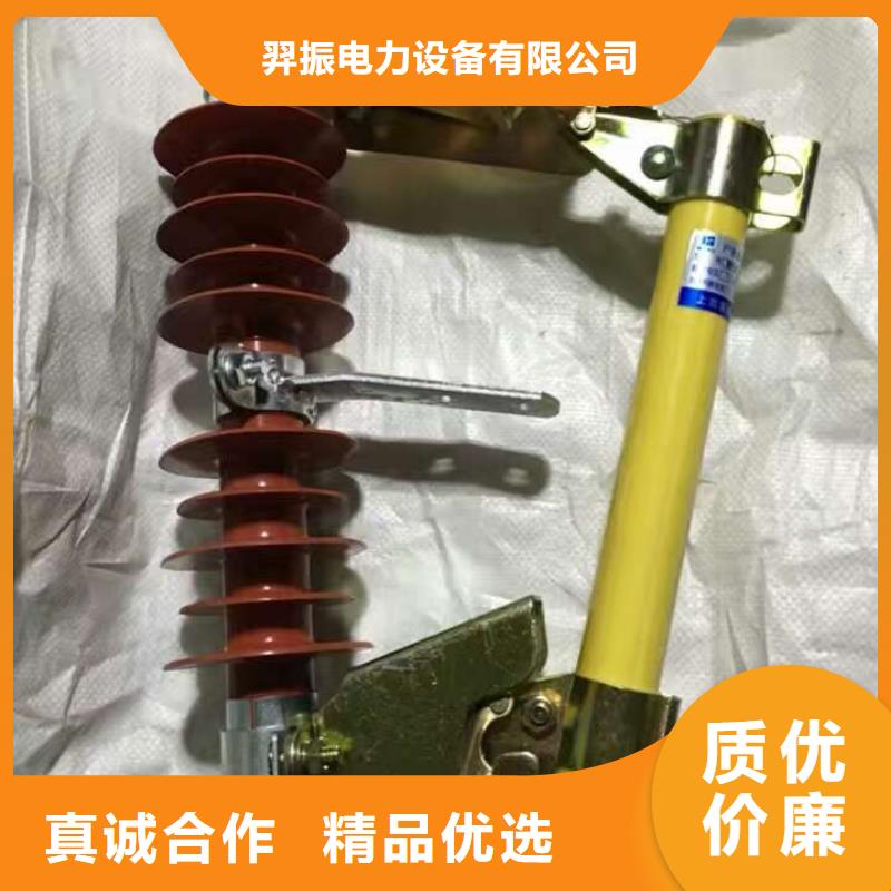 【高压熔断器】PRW12-12/100A